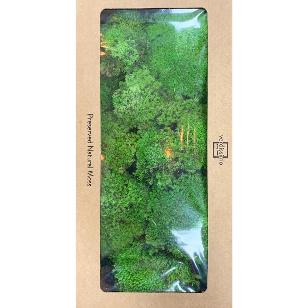 Мох кочкообразный "Verdissimo"