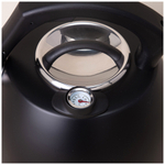 Чайник 3л нерж со свистком, серия Тюдор", индукция, черный