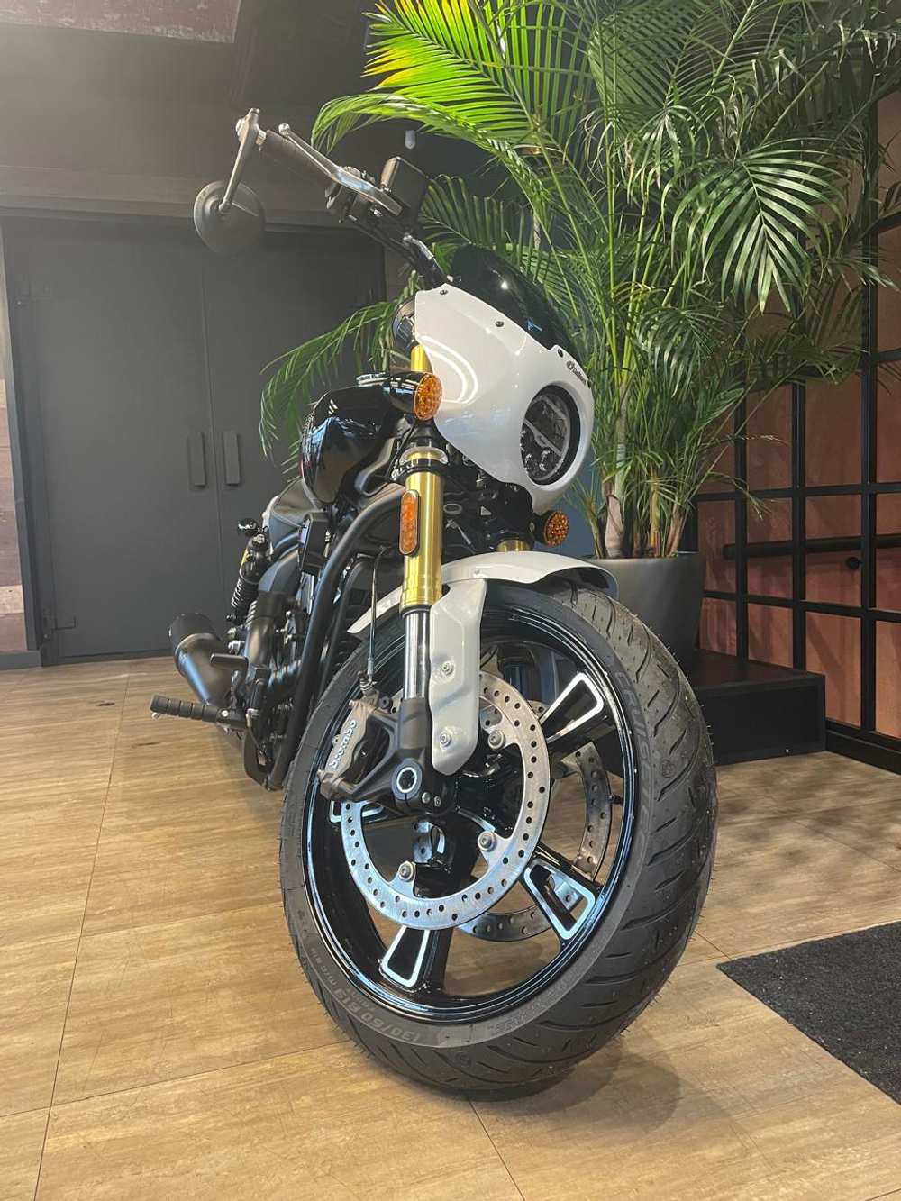 Indian Scout, 2025