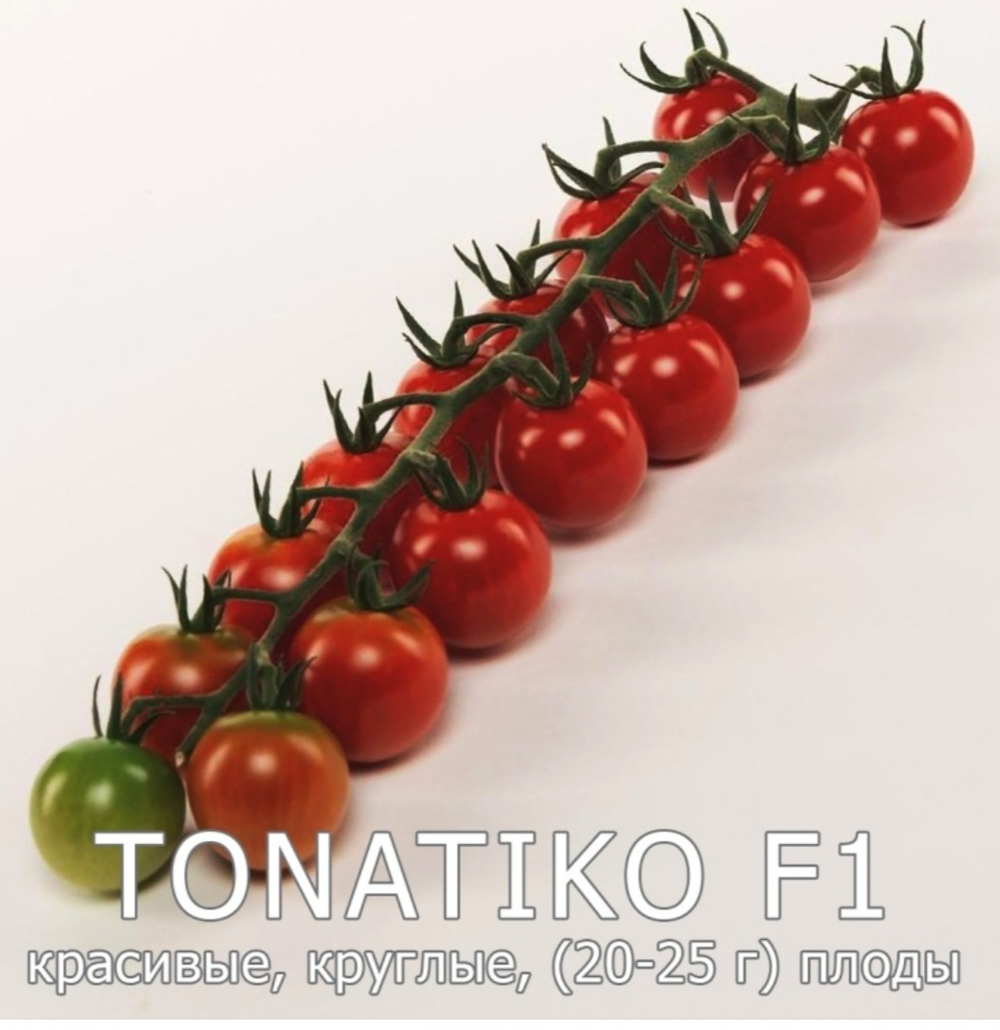 Черри круглый Тонатико F1 - Tonatico F1 (новинка) 250 семян