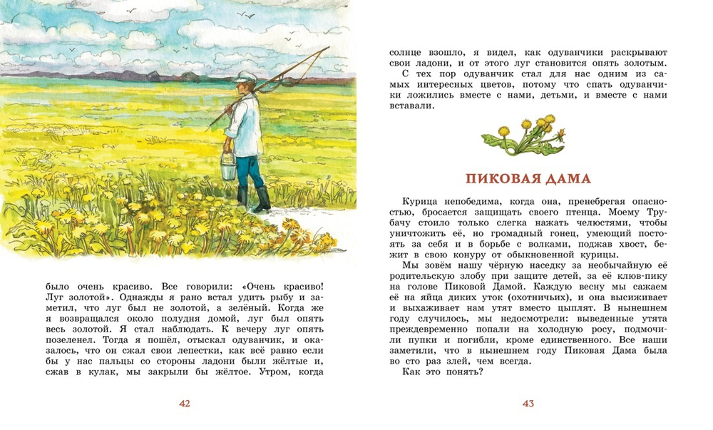 Лисичкин хлеб