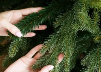 Елки комбинированные 