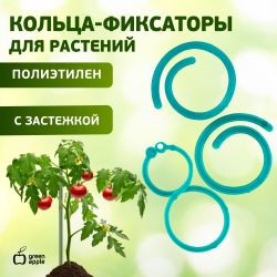 GPCR-2 GREEN APPLE Кольцо фиксатор цепочка