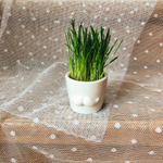 Набор для выращивания eco мини-кашпо «Усы»