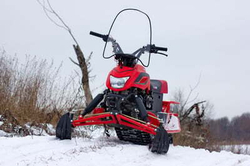 Снегоход IRBIS DINGO T150