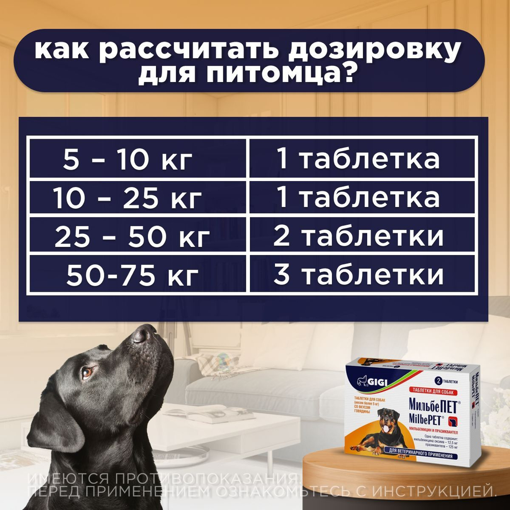 Таблетки от гельминтов МильбеПЕТ (GIGI) 125 мг для собак более 5 кг со вкусом говядины, 2таб Мильбемицин/Празиквантел
