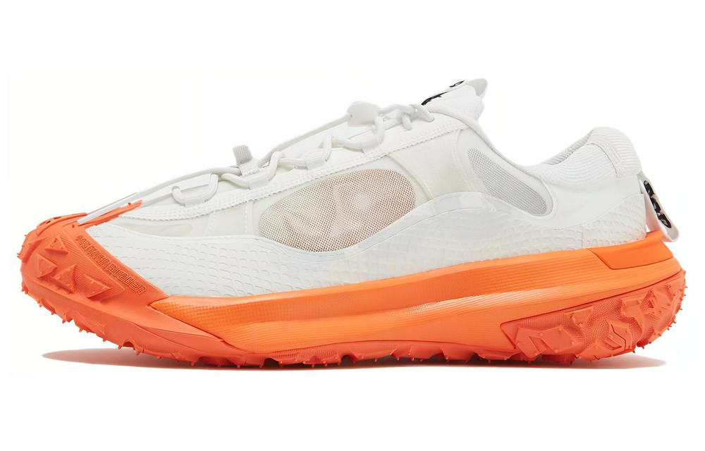 Кроссовки Nike Acg Mountain Fly Low 2
