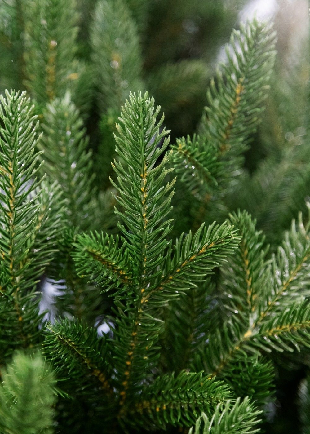 Ель искусственная «Синдия» (Литая хвоя) 180 см / 1,8 м