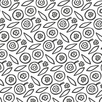 Buy blueberries fabric in sketch style