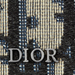 Сумка DIOR Oblique, 2ESBC262YSE-H05E