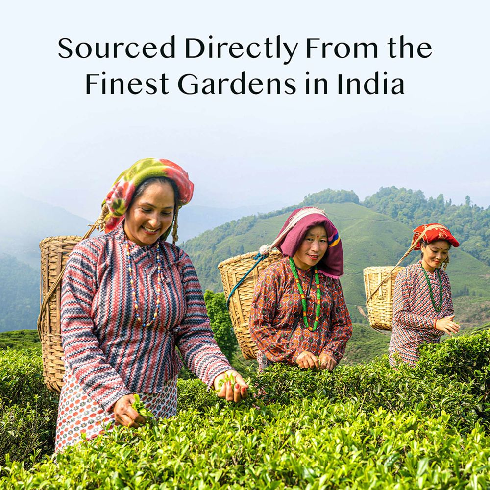 VAHDAM India, Infusions, травяной чай, набор из куркумы, без кофеина, 20 пакетиков для заваривания, 36 г (1,27 унции)