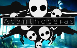 Acanthoceras (для ПК, цифровой код доступа)