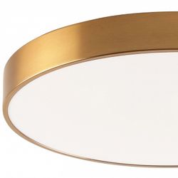 Накладной светильник Zortes Tortty ZRS.02566.96