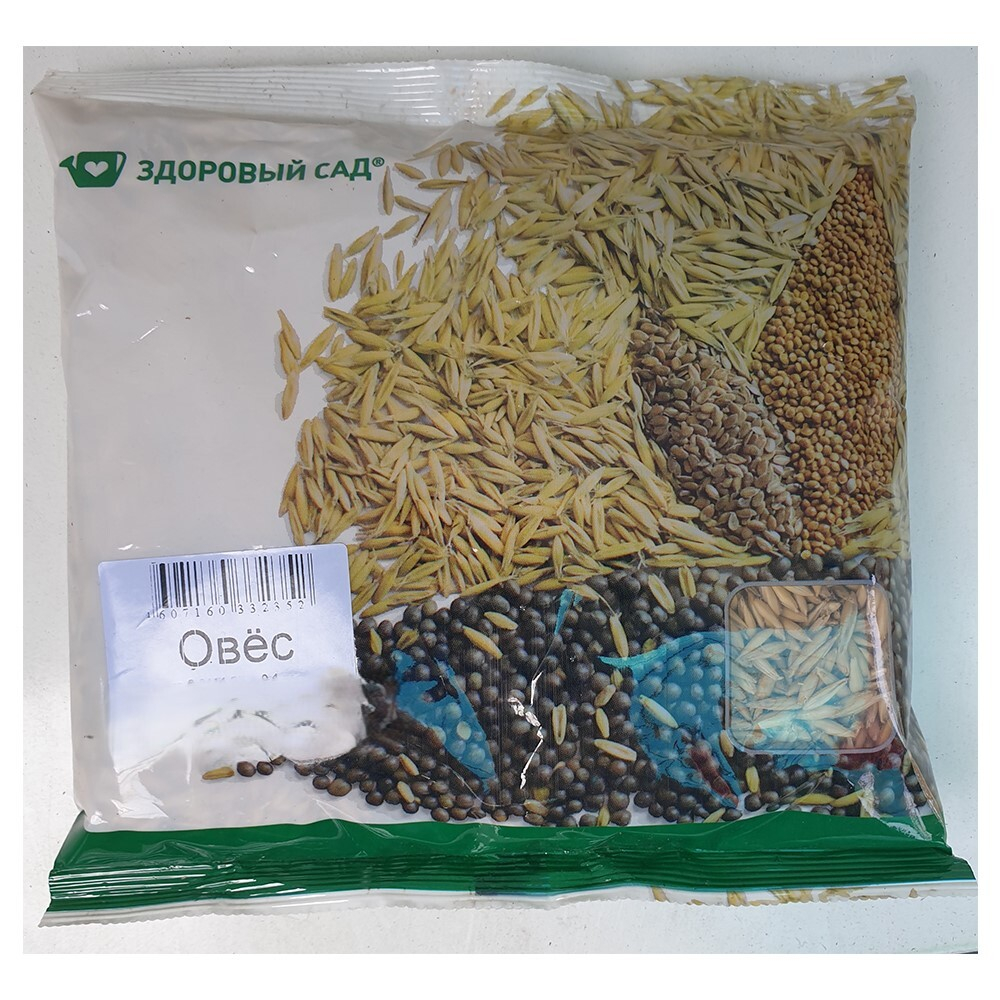 Овес