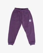 Брюки PPZ Фиолетовые