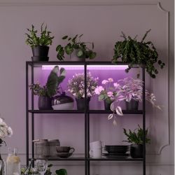 Светильник для растений, фитолампа светодиодная линейная ЭРА LLED-05-T5-FITO-9W-W розового свечения 9 Вт