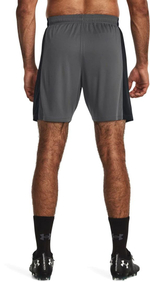 Шорты Under Armour UA M's Ch. Knit Short сер
