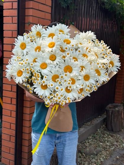 Букет из 39 крупных ромашек