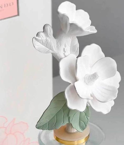 Fantasy Hibiscus, ароматический диффузор с необычными палочками, Chando