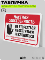 Табличка для частной территории "Частная собственность", на дом, для участка, организаций, предупреждающая, 40х30 см, Silver Plane x Айдентика Технолоджи