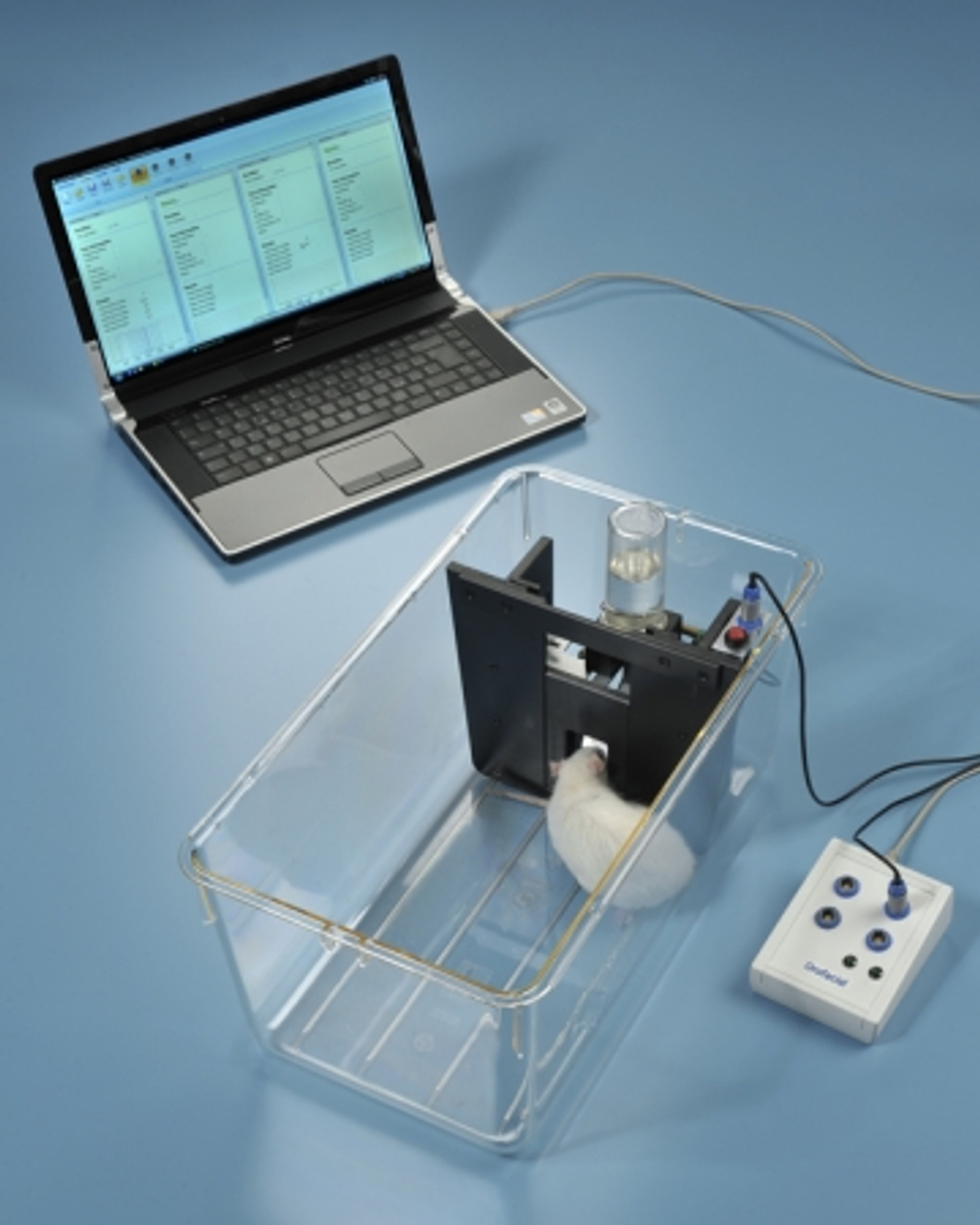 Тест орофациальной стимуляции