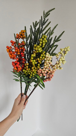 Ягоды / Арт 8041