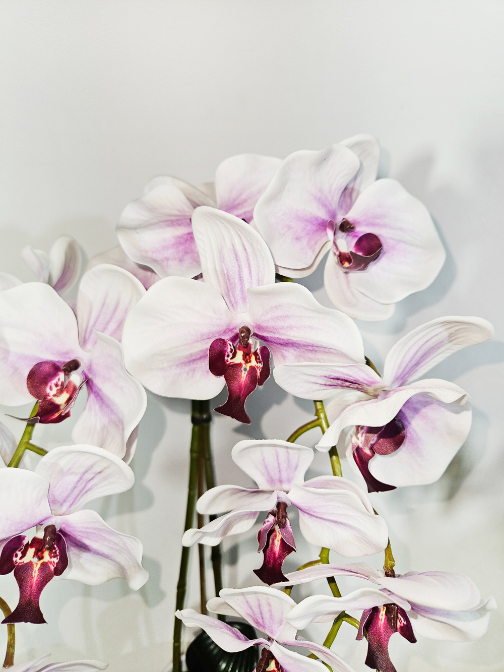 Орхидеи сиреневые 2 ветки латекс в горшке