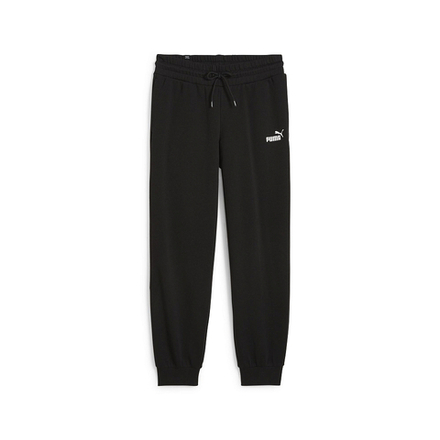 Женские брюки PUMA ESS+ Small Logo HW Pants TR