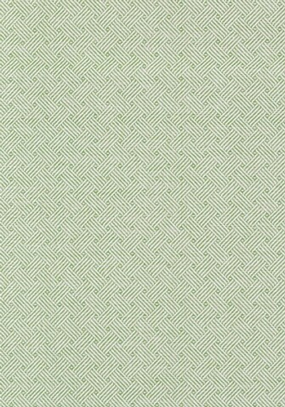 Thibaut Dynasty T75479