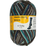 Пряжа Regia 4-fadig Color 100g 01172