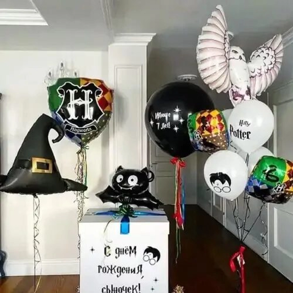 Воздушные шары Гарри Поттер 5