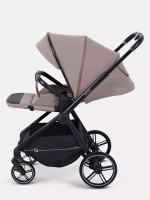 Прогулочная коляска Rant Moss 2025