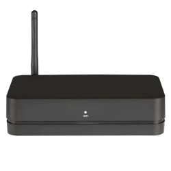 Беспроводной передатчик Pylon audio Stereo HUB