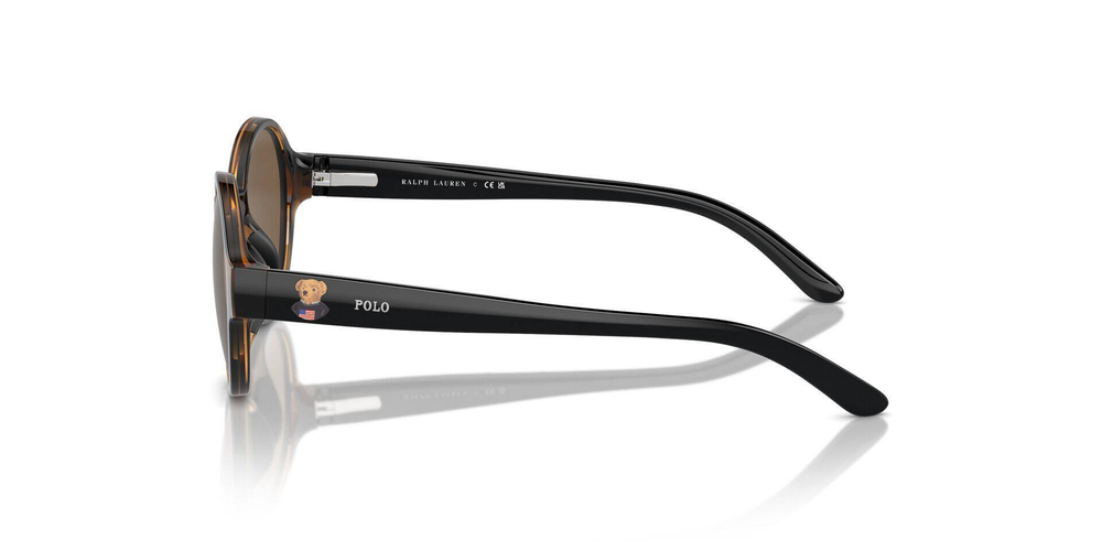 Солнцезащитные очки POLO RALPH LAUREN - коричневый(PP9508U)