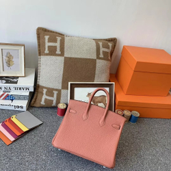 Hermes Birkin 25