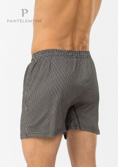 Трусы мужские семейные Pantelemone PMB-381, полоса серая