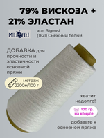 Пряжа для вязания Mille Fili S.P.A. 79% вискоза 21% эластан  (100 гр на конусе)