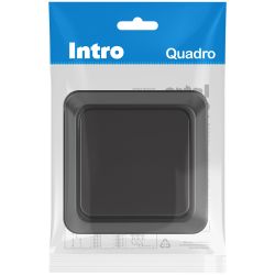 Выключатель Intro Quadro 2-101-05 10А-250В IP20 ОУ антрацит | Intro Quadro