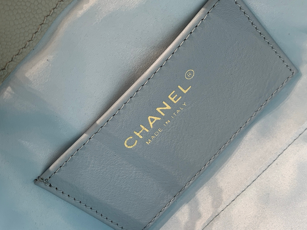 Chanel 25 Mini Handbag 22 cm
