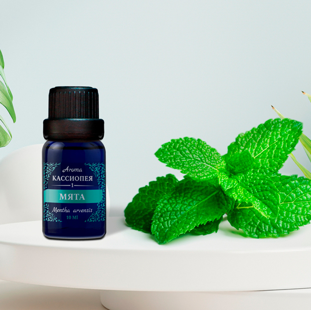 Натуральное эфирное масло мяты. 10 ML