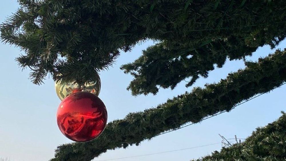 Светодинамическая елка ствольная - встроенная гирлянда: Холодный свет - "Таежная" от 11 до 21 м