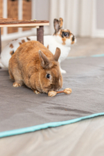 Игрушка для грызунов "Набор гантелей", кора дерева/трава, 2 шт., 9 х 2 см, Trixie