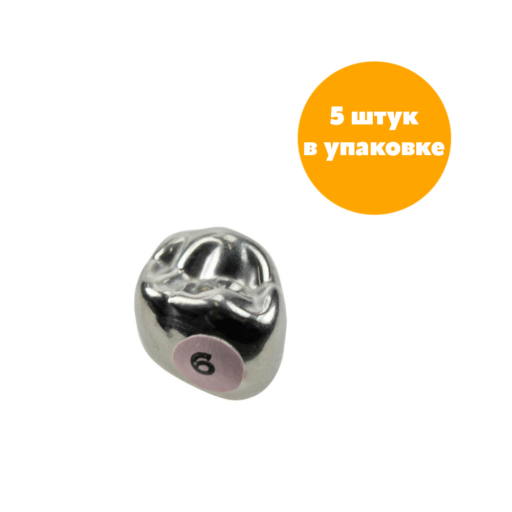 Первый верхний левый моляр, размер 6 (D-UL-6)