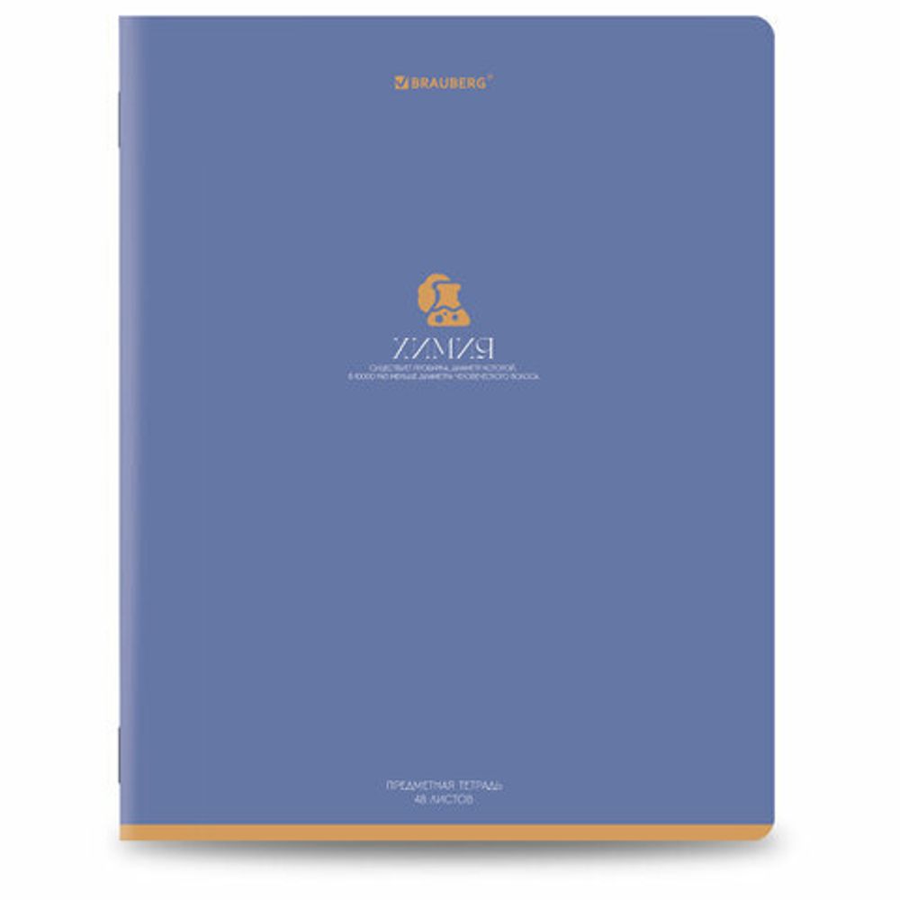 Тетради предметные, КОМПЛЕКТ 13 ПРЕДМЕТОВ, 48 л., матовая ламинация, BRAUBERG "MONOCOLOR", 405175