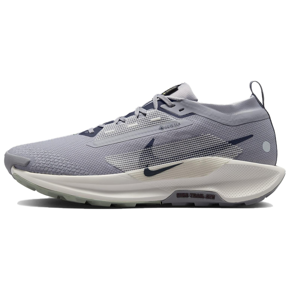 Кроссовки Nike Pegasus Trail 5 Gore-Tex