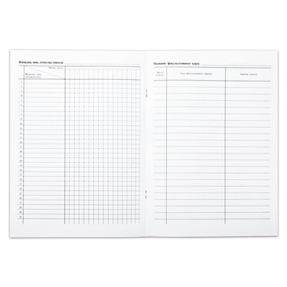 Книга "Журнал факультативных занятий", 24 листа, А4, 205х282 мм, обложка мелованный картон, блок офсет, 15855