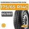 Evergreen Dynamaster EV516 175/65 R14C 90/88T