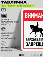 Табличка для частной территории "Внимание, верховая езда запрещена", на дом, для участка, организаций и частных территорий, предупреждающая, 40х30 см, Silver Plane x Айдентика Технолоджи