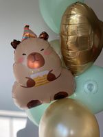Воздушные шары капибара №8515