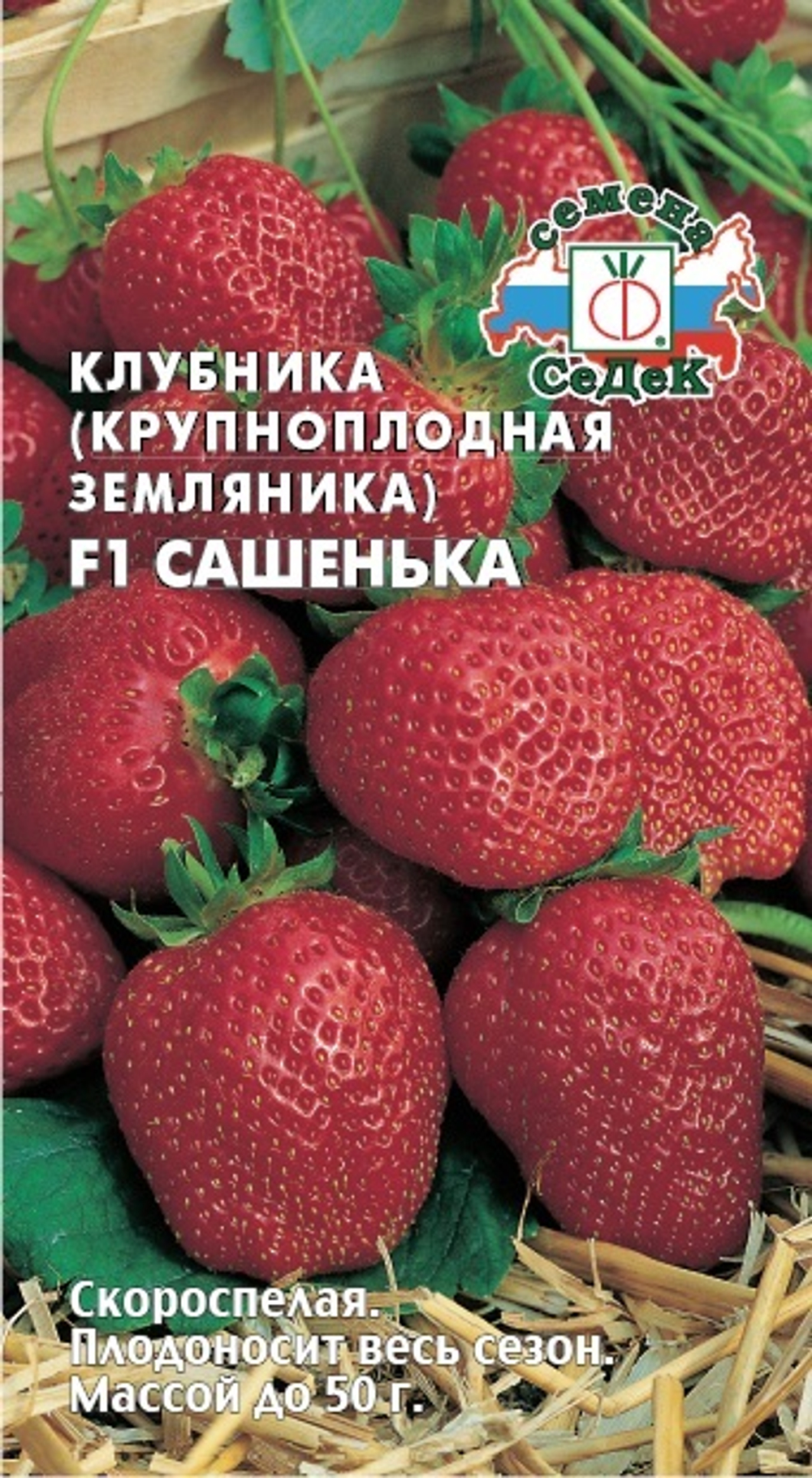Земляника Сашенька F1